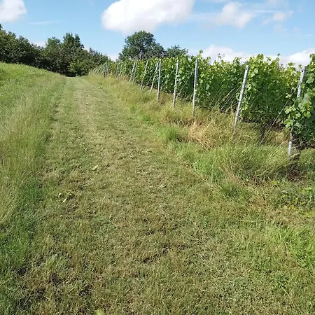 Verte Au Calme A La Campagne